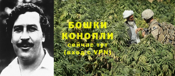спиды Болхов