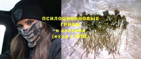 каннабис Болотное