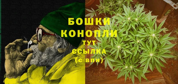 прущие крисы Болохово