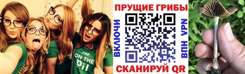 Галлюциногенные грибы ЛСД  дарнет шоп  Советская Гавань 