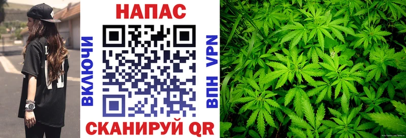 Шишки марихуана VHQ  купить наркотики сайты  Советская Гавань 